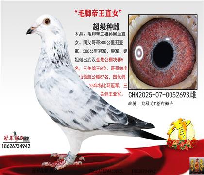 ë�_������ѪֱŮ����O�䣩���һ��