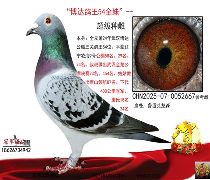 ��h���_(d��)���P(gu��n)����54���ã��L����?sh��)��? width=