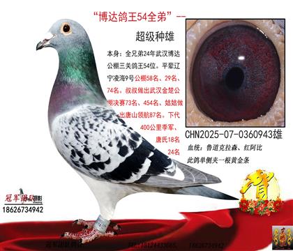 ��h���_(d��)���P(gu��n)����54��ȫ�ֵ�