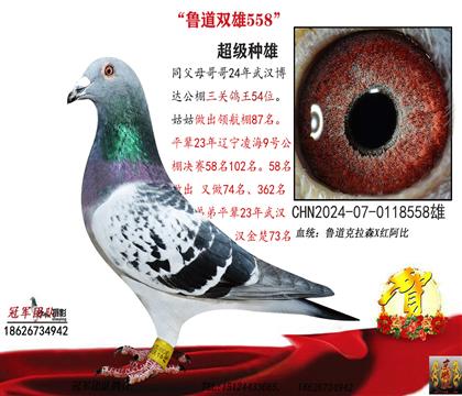 ��h���_(d��)���P(gu��n)����54λȫ�ֵܣ��L����?sh��)��? width=