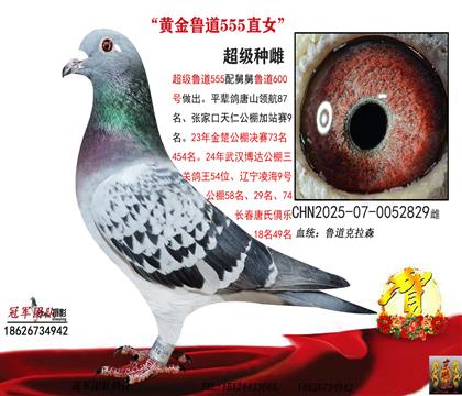 ��?sh��)���Ѫ�?55Ů����