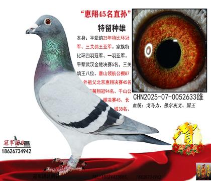 ����45����O