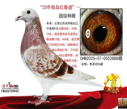 ��?sh��)?88���p���еĴ�ƣ�