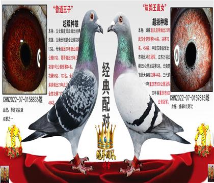 ��h���_(d��)���P(gu��n)����54����ĸ