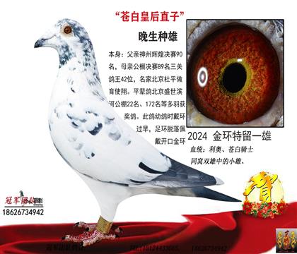 ���������Ķ����p���е�С����