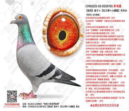 ����ֱ�ӡ������m����С���ѡ���OŮ