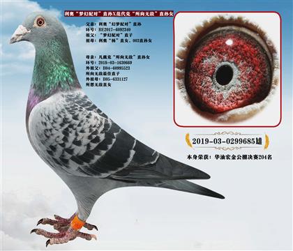 ���¡��λ���ԡ�ֱ��X�����ˡ������޵С�ֱ��Ů������204��