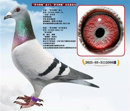 ���������¡�ֱ��X���������¡�ȫ�ֵ�ֱŮ