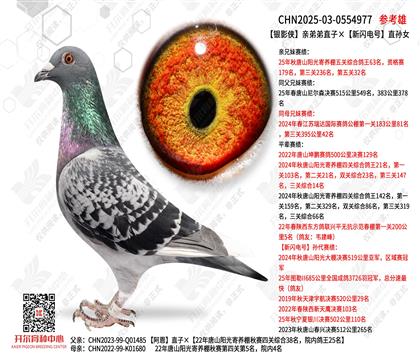 �yӰ�b�H�ܵ�ֱ�ӡ����W�ֱ̖�OŮ