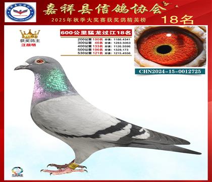 600������������18��