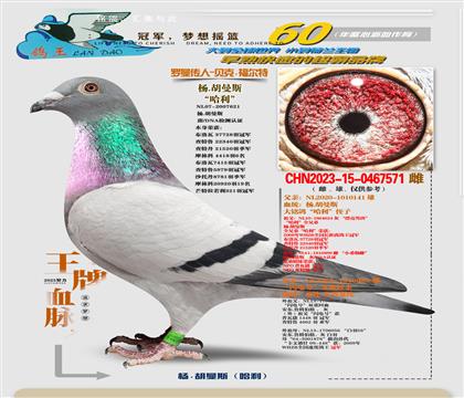 ����������Ѫ��