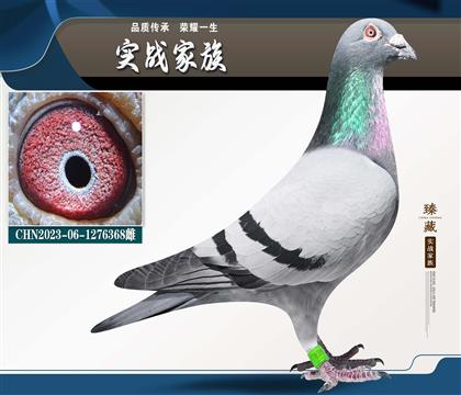 �����A�X-ɣ��ʿ ����229��