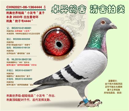 ���W�����С��̖���Ӵ�4444