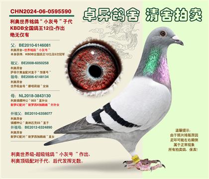 ���W�����С��̖���Ӵ�