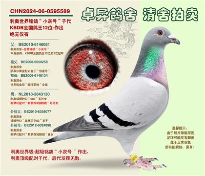 ���W�����С��̖���Ӵ�