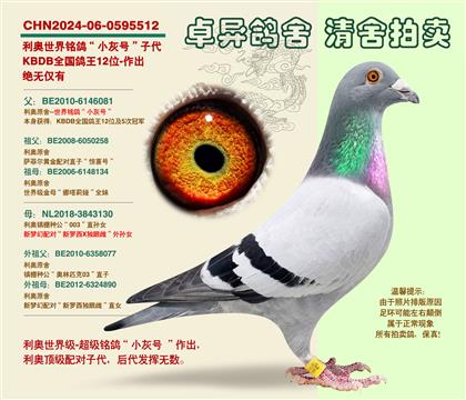 ���W�����С��̖���Ӵ�