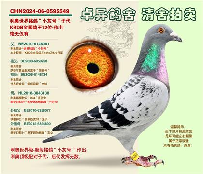 ���W�����С��̖���Ӵ�