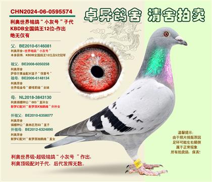 ���W�����С��̖���Ӵ�