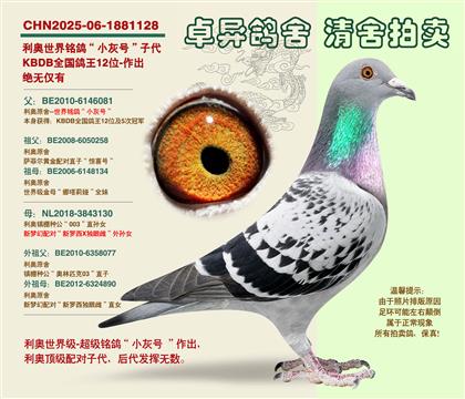 ���W�����С��̖���Ӵ�