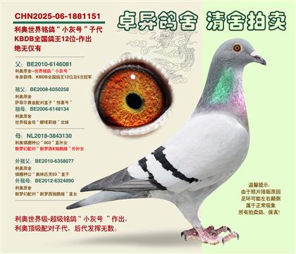 ���W�����С��̖���Ӵ�