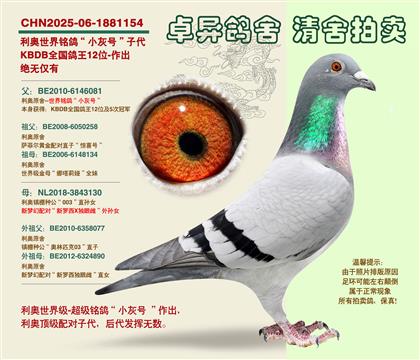 ���W�����С��̖���Ӵ�