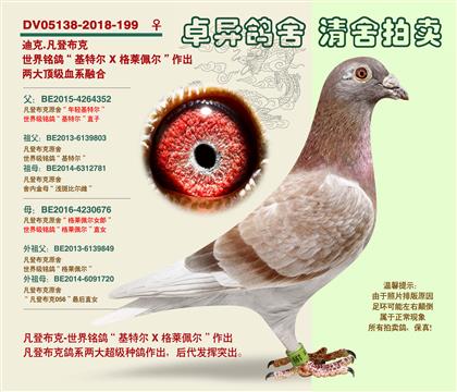 ���ǲ���ԭ��-�������塱�OŮ