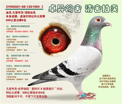 ���ǲ��ˡ��S���䌦���Ӵ�6��