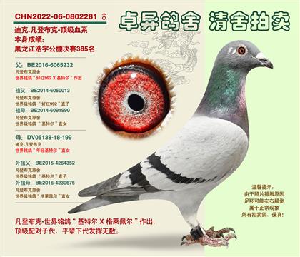 ���ǲ��ˡ��S���䌦���Ӵ�