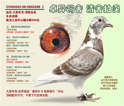 ���ǲ��ˡ��S���䌦���Ӵ�