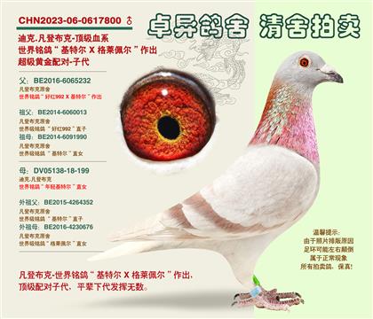 ���ǲ��ˡ��S���䌦���Ӵ�