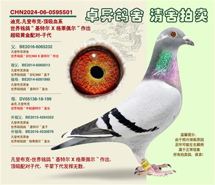 ���ǲ��ˡ��S���䌦���Ӵ�