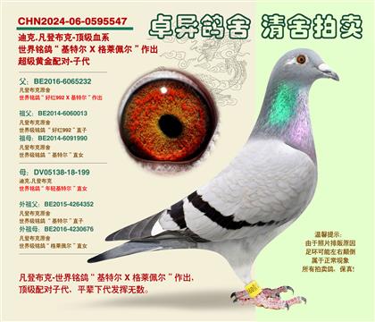 ���ǲ��ˡ��S���䌦���Ӵ�