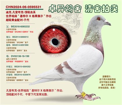 ���ǲ��ˡ��S���䌦���Ӵ�