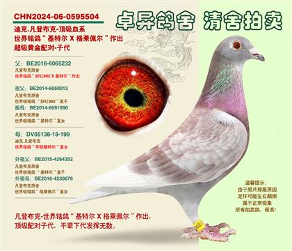 ���ǲ��ˡ��S���䌦���Ӵ�