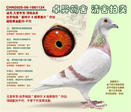 ���ǲ��ˡ��S���䌦���Ӵ�