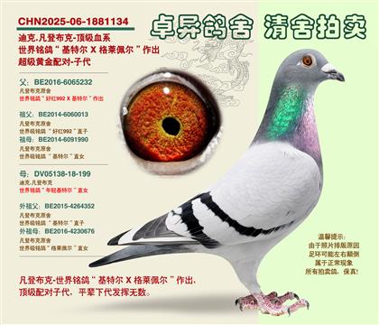 ���ǲ��ˡ��S���䌦���Ӵ�