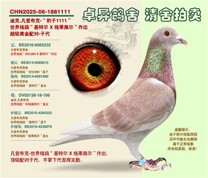 ���ǲ��ˡ��S���䌦���Ӵ�1111