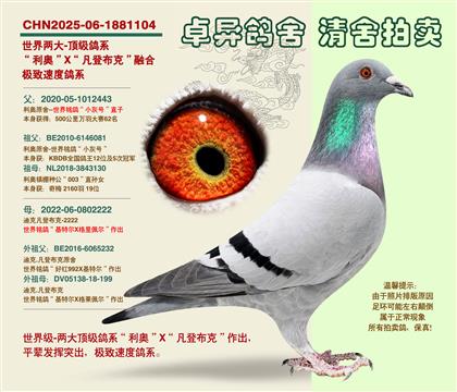 ���f��62λ��X����ĸ2222��