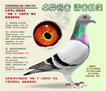 ���f��62λ��X����ĸ2222��