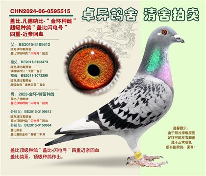 �w�ȡ��W�̖�����ػ�Ѫ