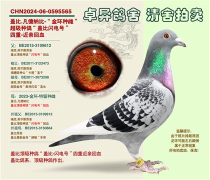 �w�ȡ��W�̖�����ػ�Ѫ