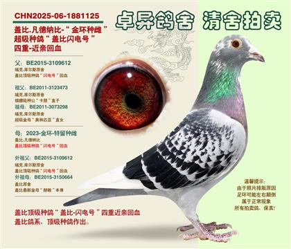 �w�ȡ��W�̖�����ػ�Ѫ