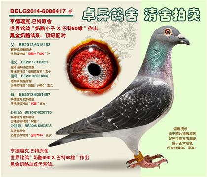 ����ԭ��-�(zh��n)��ڽ�80��ֱ�OŮ