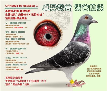 �������(zh��n)�ġ��ڽ����ҡ�