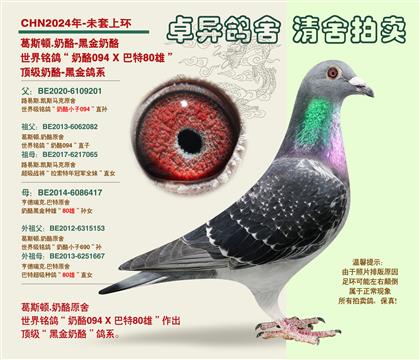 �������(zh��n)�ġ��ڽ����ҡ�