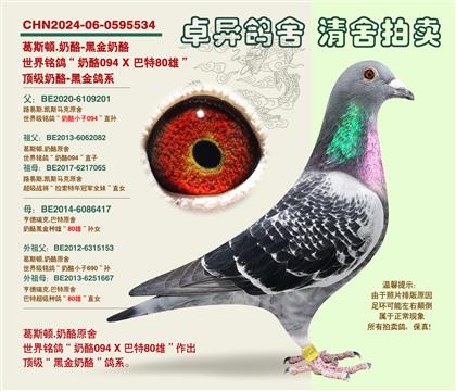 �������(zh��n)�ġ��ڽ����ҡ�