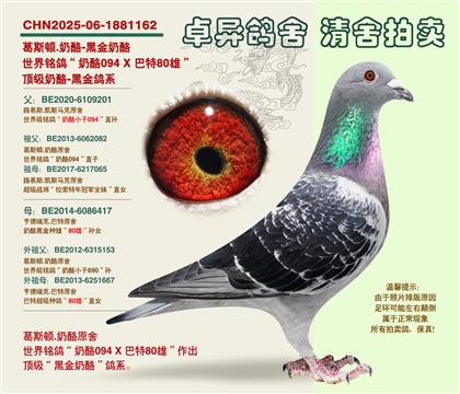 �������(zh��n)�ġ��ڽ����ҡ�