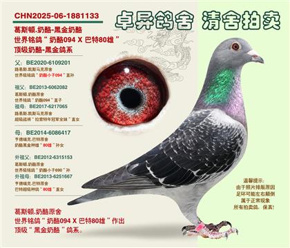 �������(zh��n)�ġ��ڽ����ҡ�