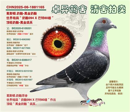 �������(zh��n)�ġ��ڽ����ҡ�