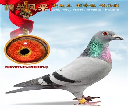 ����161������102��